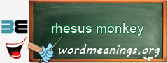 WordMeaning blackboard for rhesus monkey